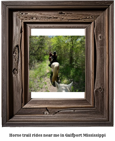 horse trail rides near me in Gulfport, Mississippi